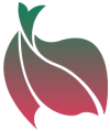 DesignByYou